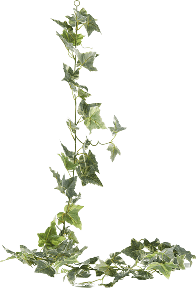 Festone Edera artificiale variegato colore verde h 180 cm