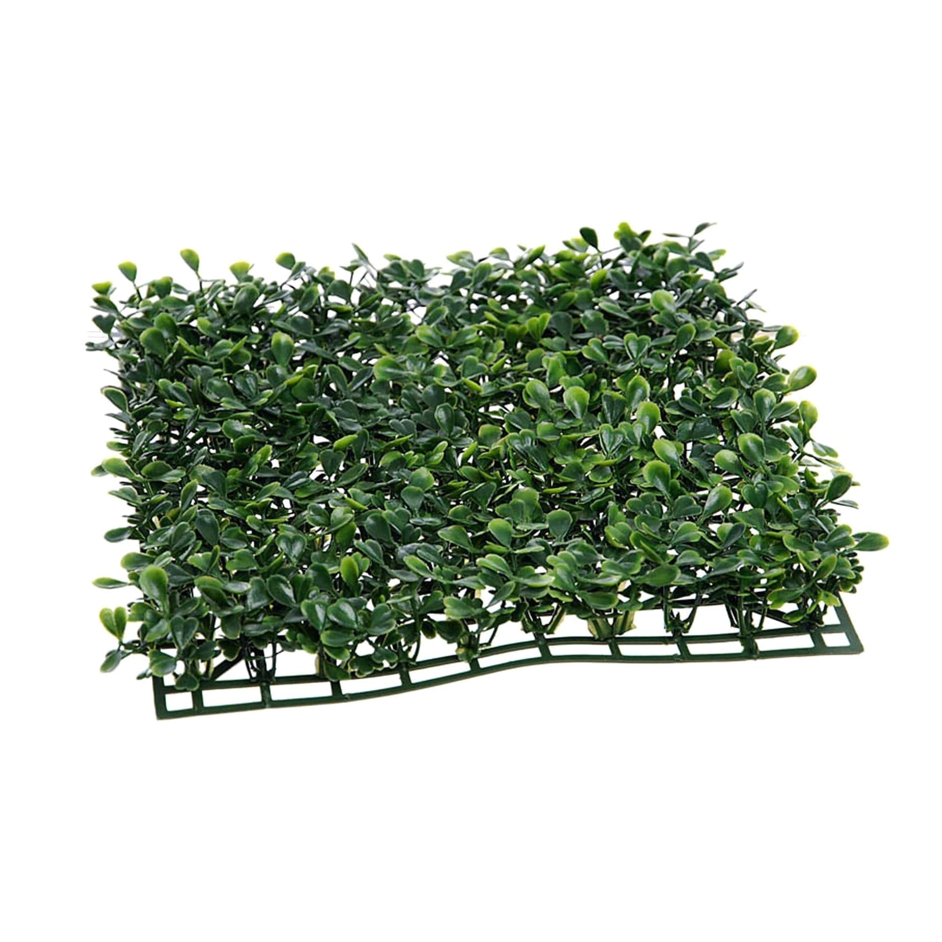 Mattonella "Dicondra" da parete, color verde da 50 x 50 cm in Erba artificiale Decor Space - Altamura, commercioVirtuoso.it