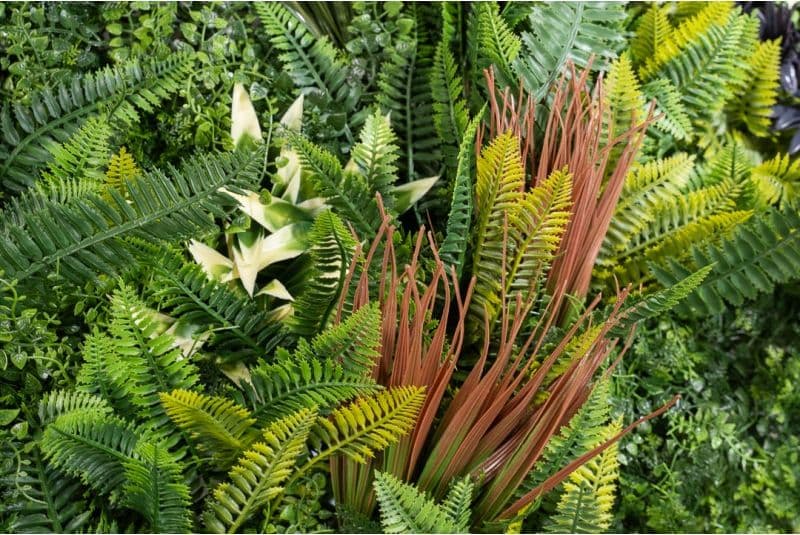 Siepe artificiale "Kenya" per esterno e giardino da 100 x 100 cm in Recinzioni decorative Decor Space - Altamura, commercioVirtuoso.it