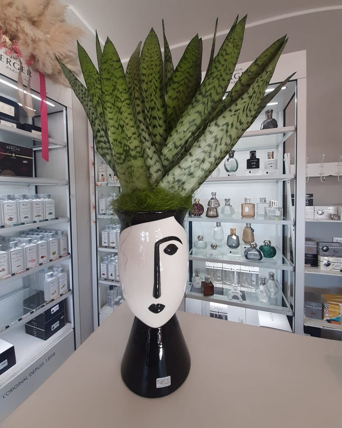 Vaso Faccia decorativa porta fiori o piante in ceramica volto bianco e nero Edg in Vasi tradizionali Decor Space - Altamura, commercioVirtuoso.it