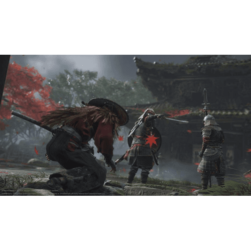 Ghost Of Tsushima PS4 ES Usato2 - 11