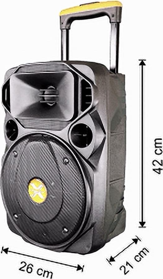 CASSA PORTATILE A TROLLEY 600 W BLUETOOTH USB RGB CON MICROFONO WIRELESS VAN-M - 7