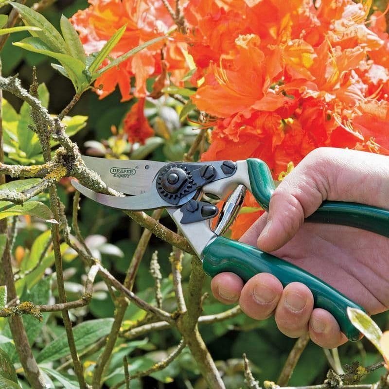 Cesoie 210mm con impugnatura ergonomica e lame in acciaio Draper - 3