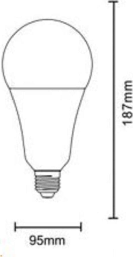 LAMPADINA A LED 25WATT A95 E27 2500LM A SFERA LUCE FREDDA CALDA NATURALE A95-25W - 5