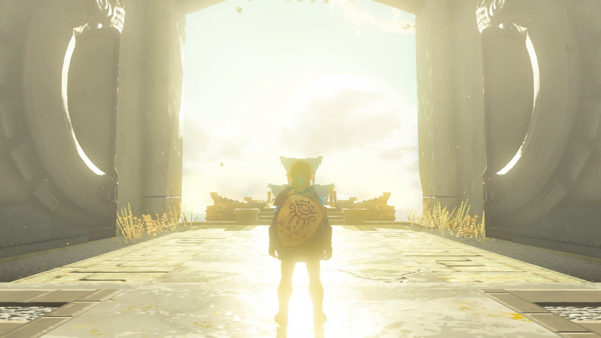 Switch The Legend of Zelda:Tears of the Kingdom TOTK - 3
