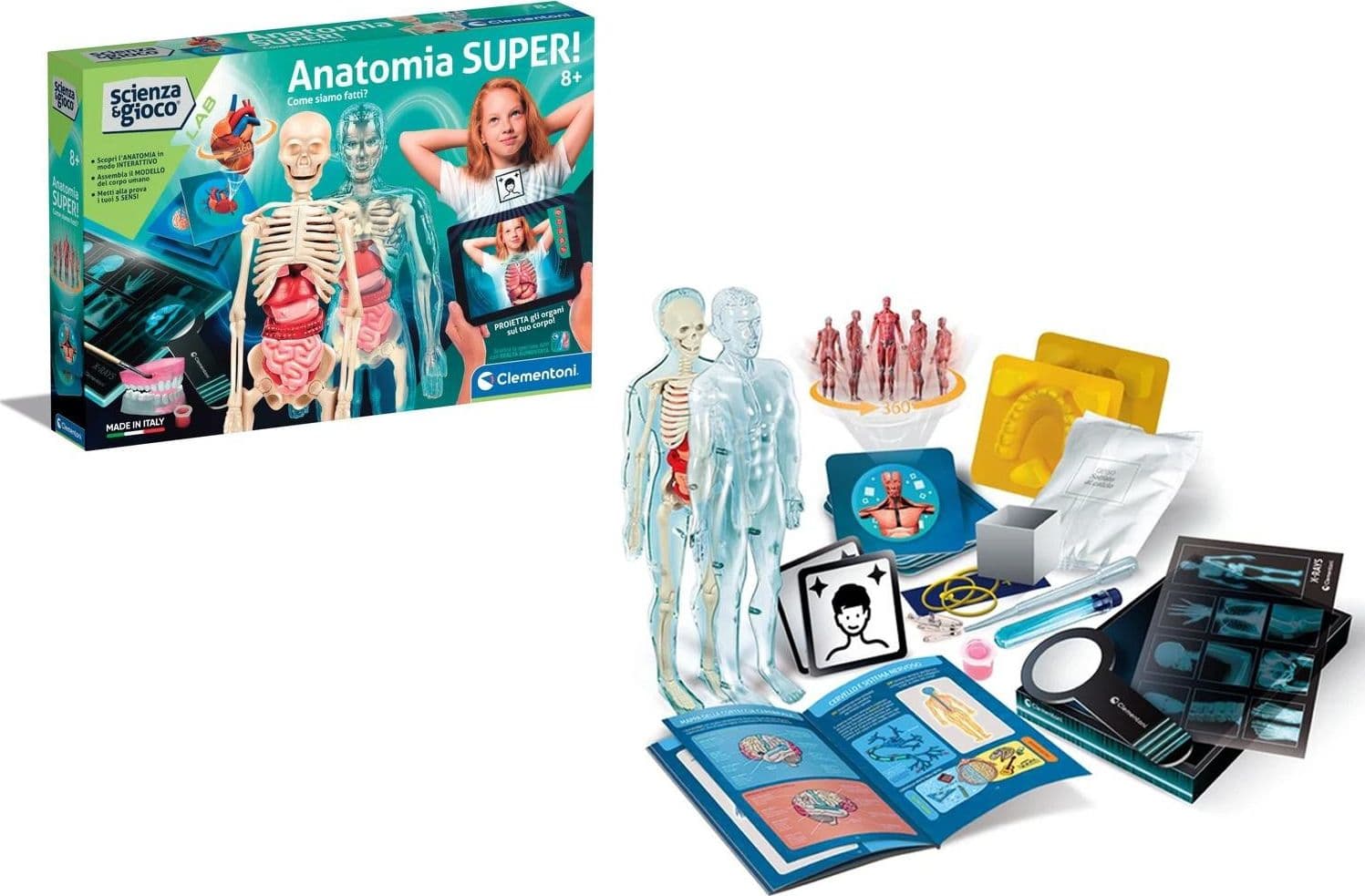 Anatomia Super Scienza e Gioco - 2