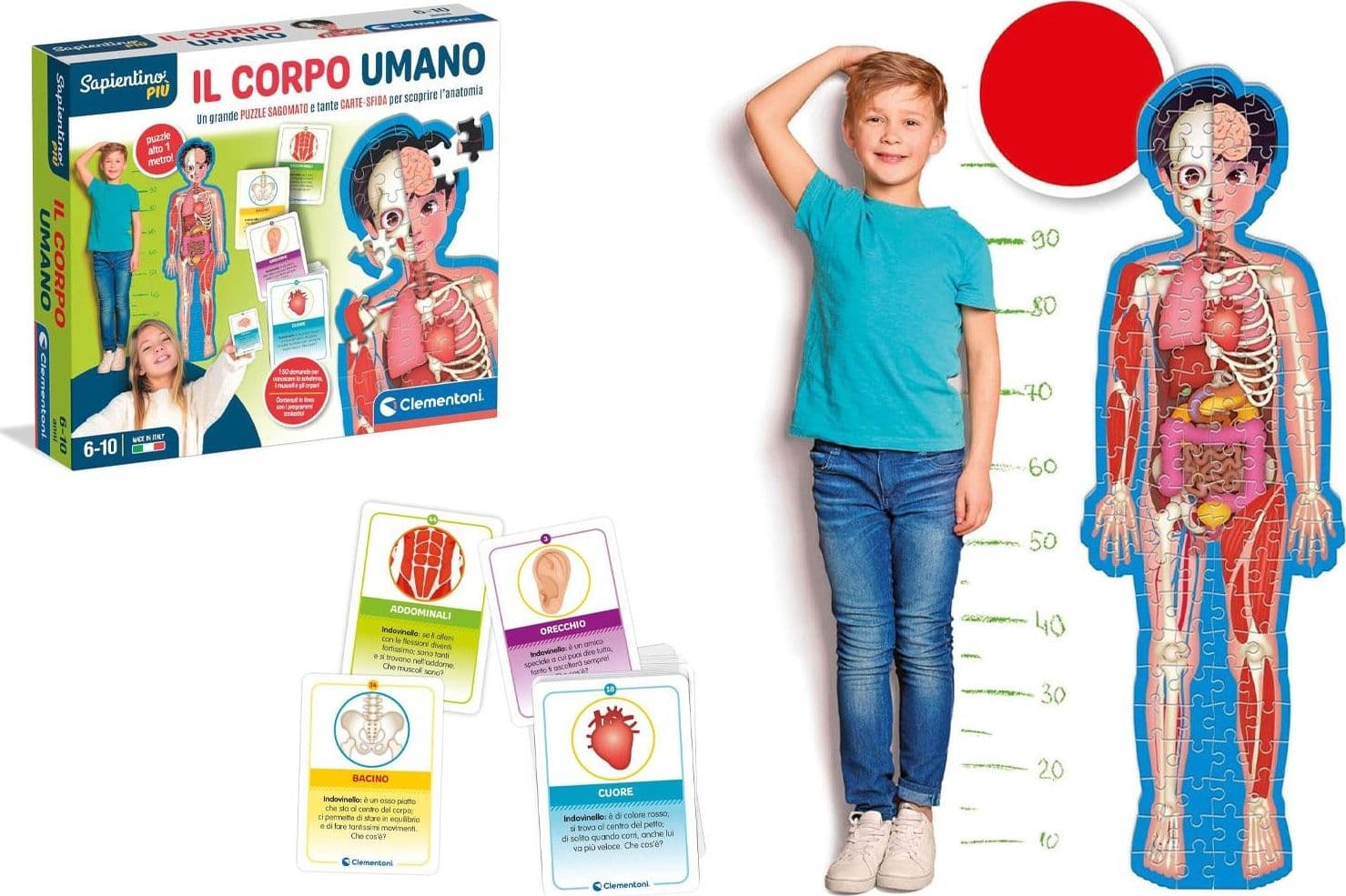 Sapientino Montessori Il Corpo Umano - 2