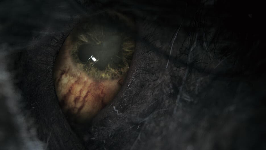 Bloodborne Game Of The Year (Goty) PS4 UK-Usato - 3