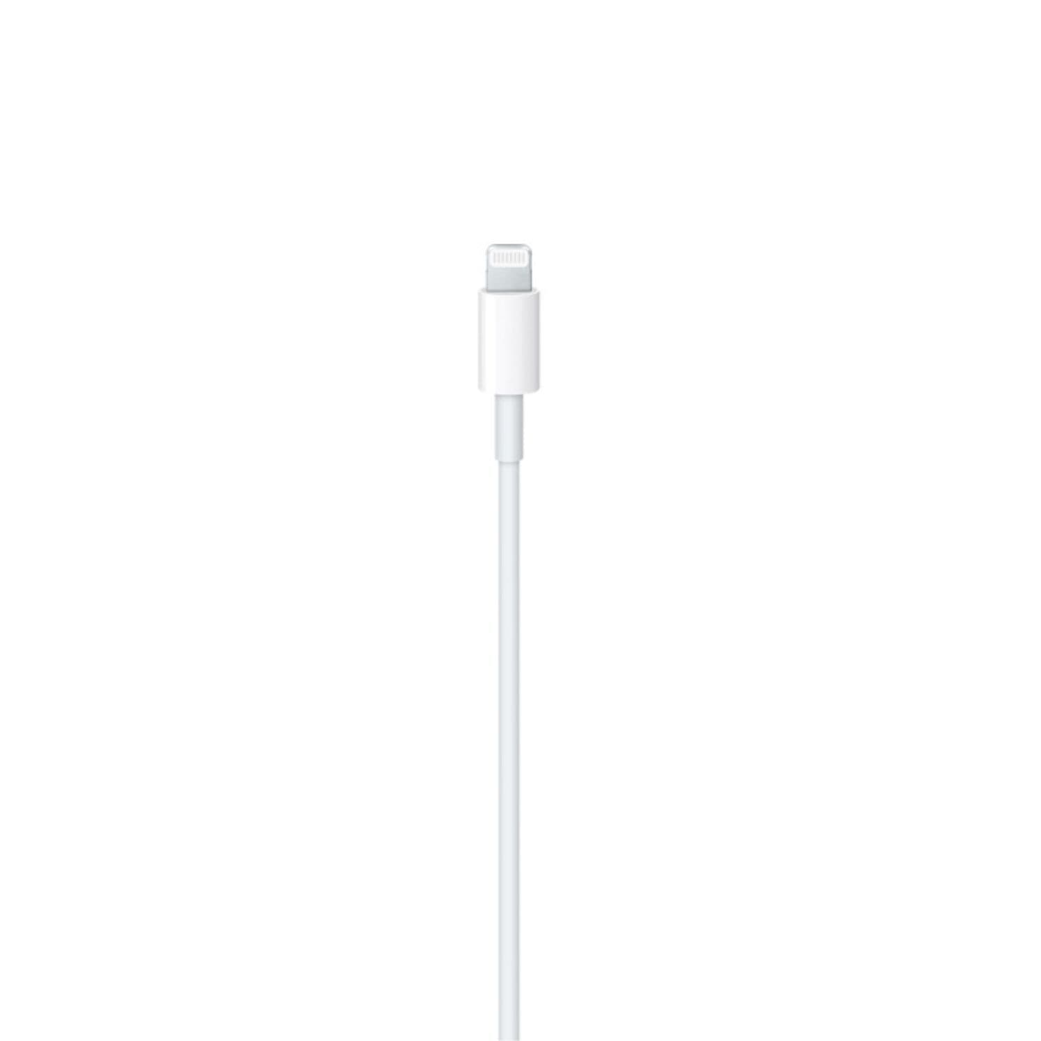 Apple Cavo USB-C a Lightning (1m) MM0A3ZM/A - 2