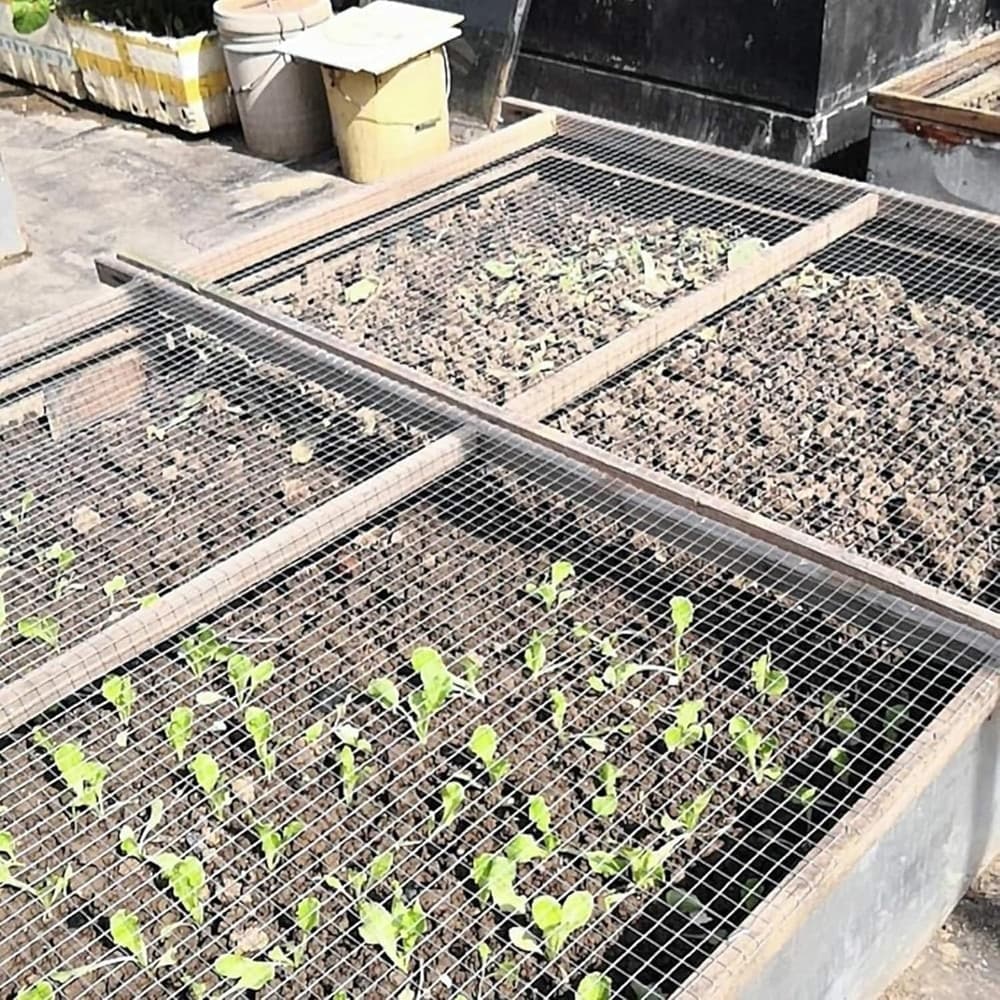 SET 3PZ RETE METALLICA ZINCATA 0.5X3MT RECINZIONE PROTEZIONE ALBERI GIARDINO ANIMALI 020248 - 10