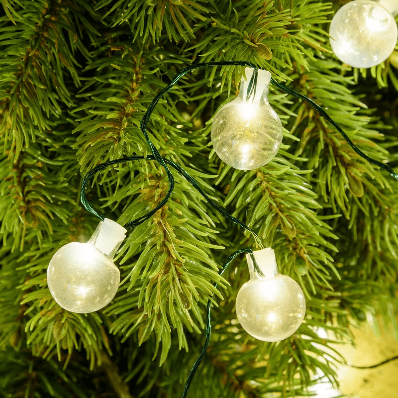 Catena verde 80 sfere in vetro, bianco caldo, luce fissa per decorazioni natalizie in Basi e supporti per alberi di Natale MagiediNatale.it - Altamura, commercioVirtuoso.it