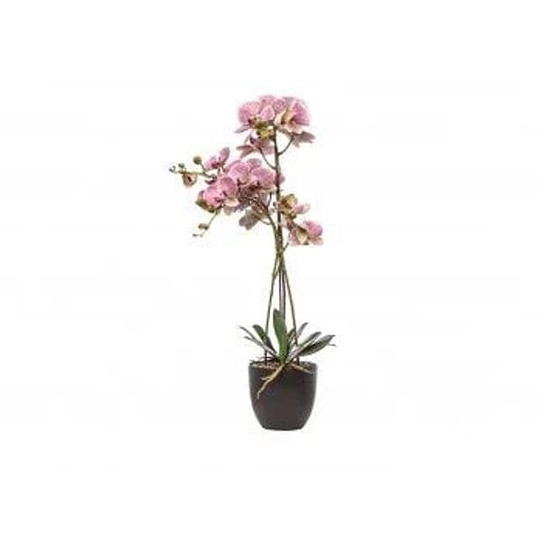 Pianta artificiale Schonherr Wedding Love  Naturaltouch