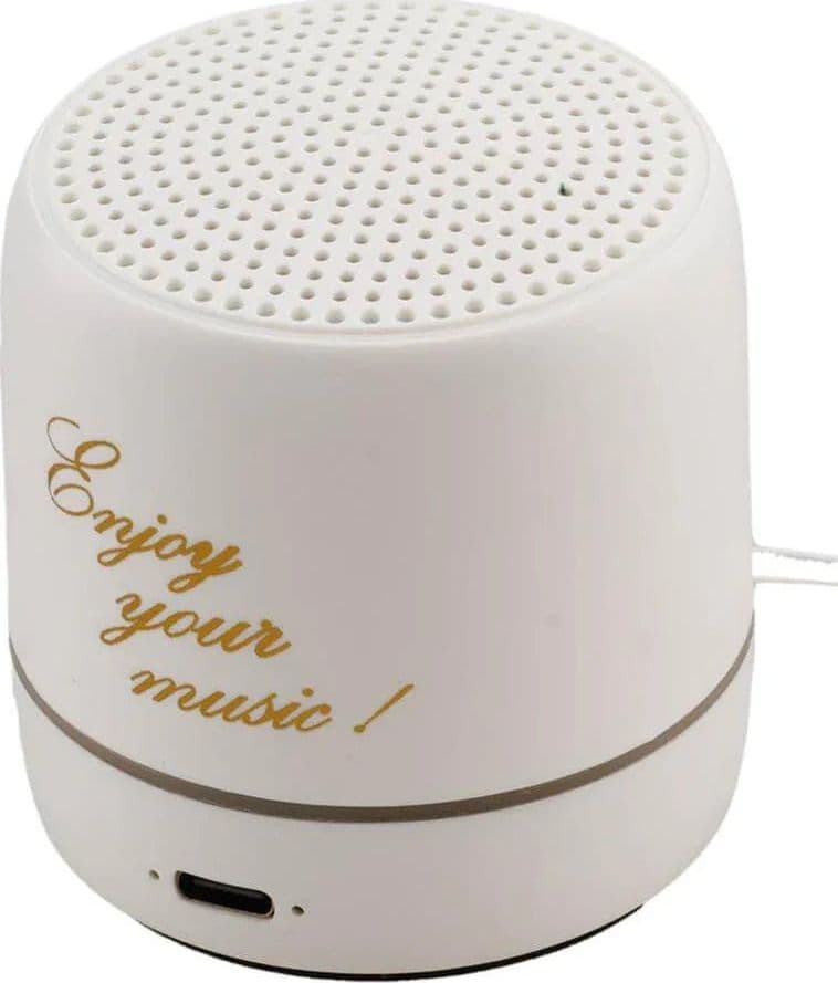 2 Pezzi Cassa Bluetooth Special Gifts SJ55
