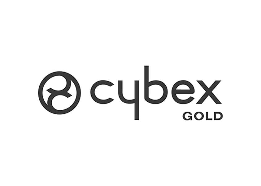 Passeggino Cybex Gold Sport Avi Spin Blk - 9