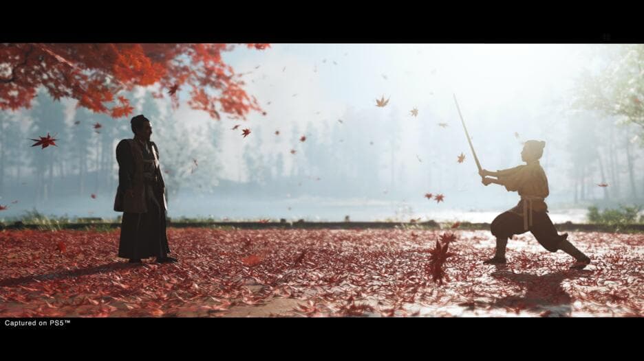 Ghost Of Tsushima Director'S Cut PS5 HU/SK/CZ Usato - 2