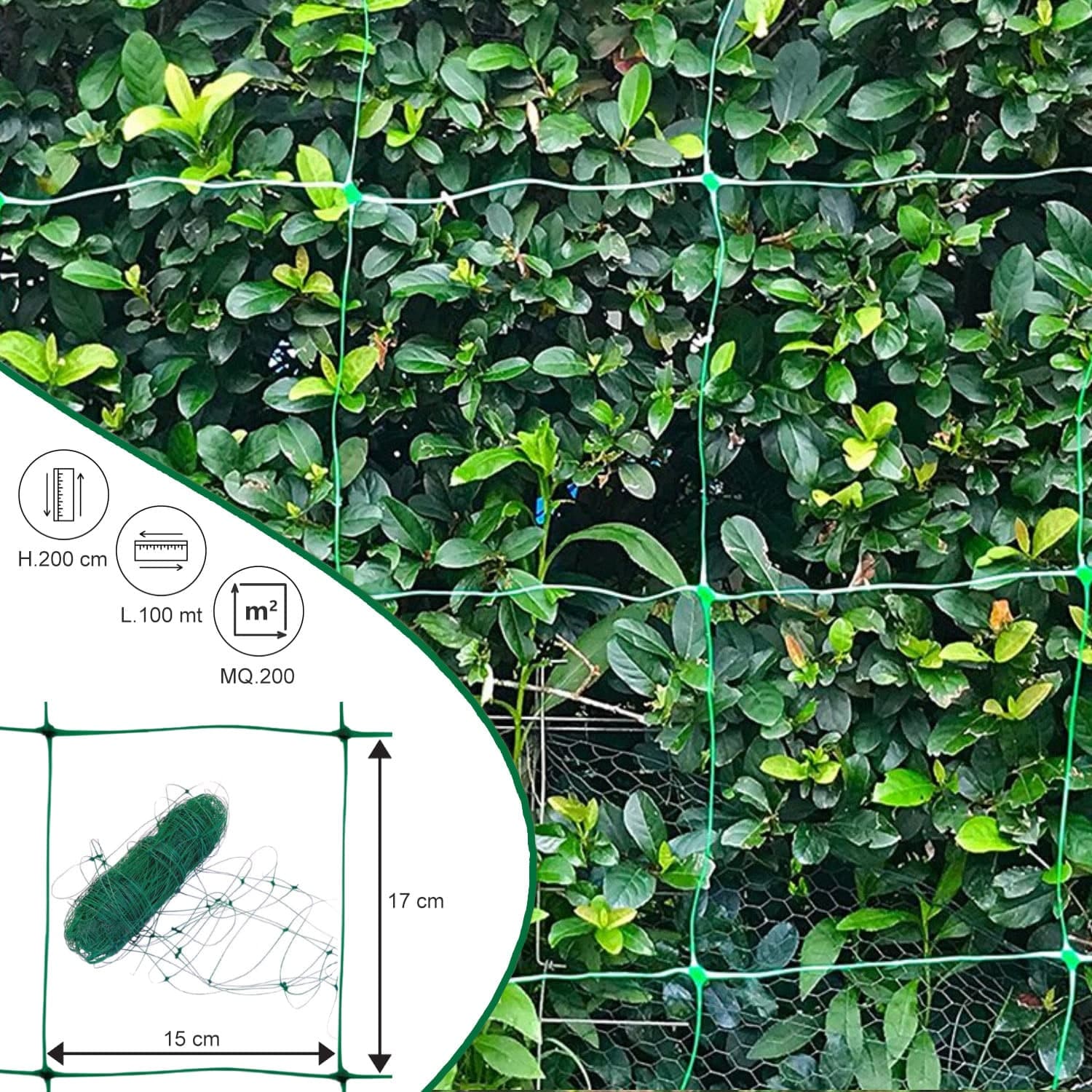Rete per ortaggi rampicanti Rotolo 2x100 mt Verde - 9