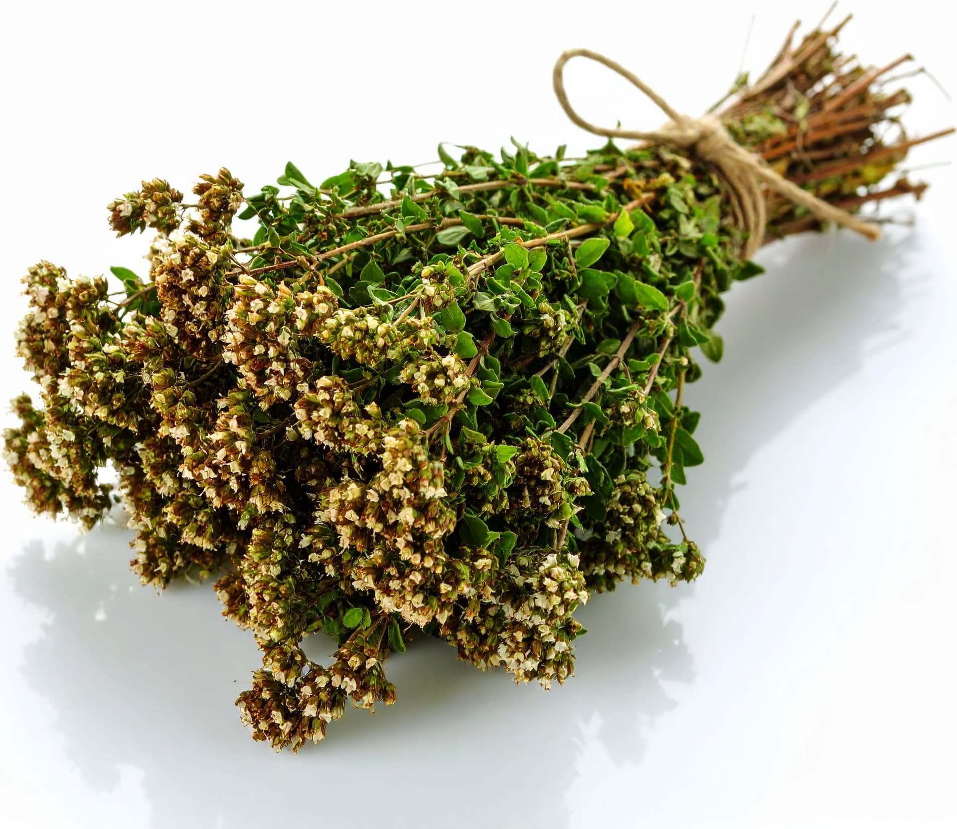 ORIGANO SICILIANO A MAZZETTO - 40gr in Origano Antica Bottega Siciliana - Misiliscemi, commercioVirtuoso.it