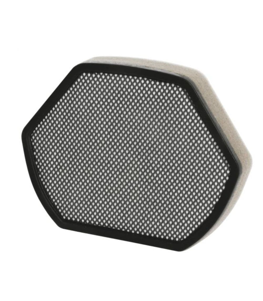 Filtro Aspirapolvere a Traino BGS41... VSX41.... - 2