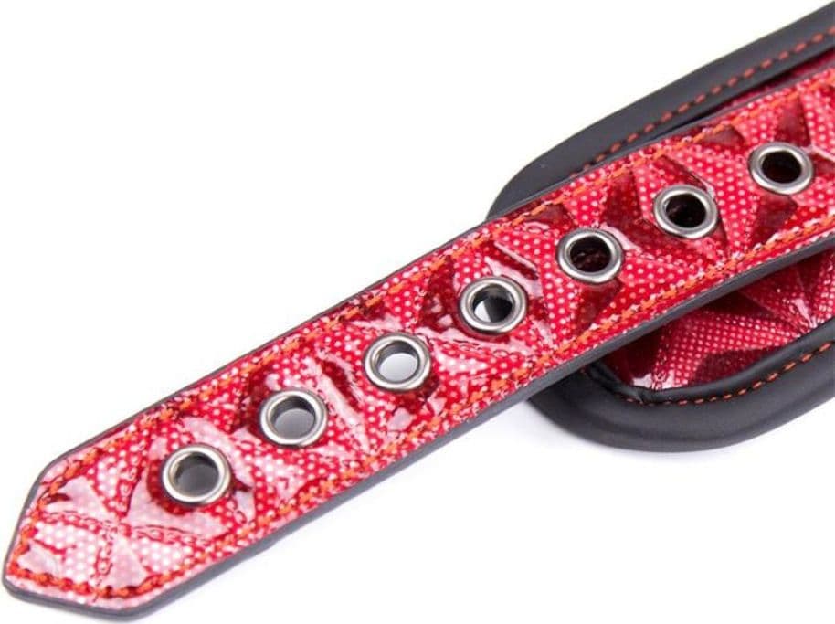 Collare Diamond Line con Cinturino Rosso - 5