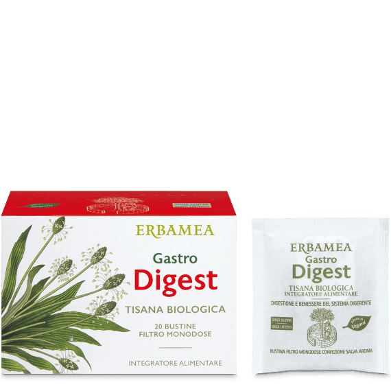 Tisana biologica Gastro Digest 20 filtri - 2
