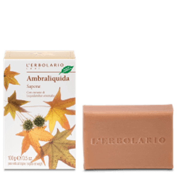 Sapone Ambraliquida - 2