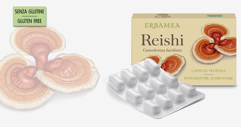 Reishi (Ganoderma lucidum) - Capsule vegetali - 2