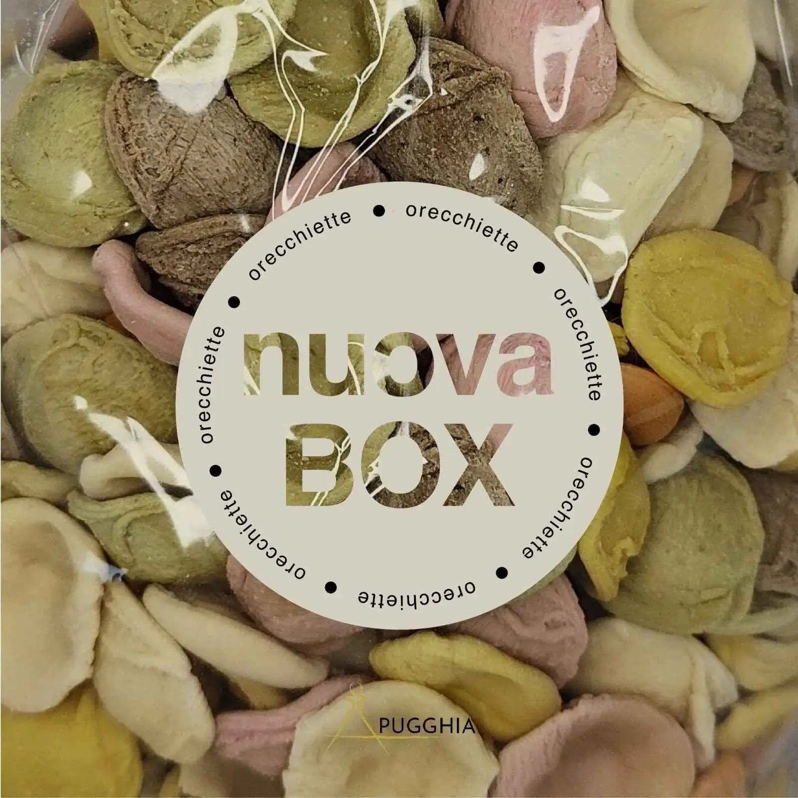BOX ORECCHIETTE Pugghia 6 PACCHI DA 500 gr