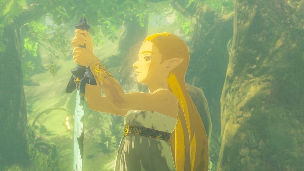 The Legend of Zelda Breath of the Wild Switch 2 Edition ES - 3