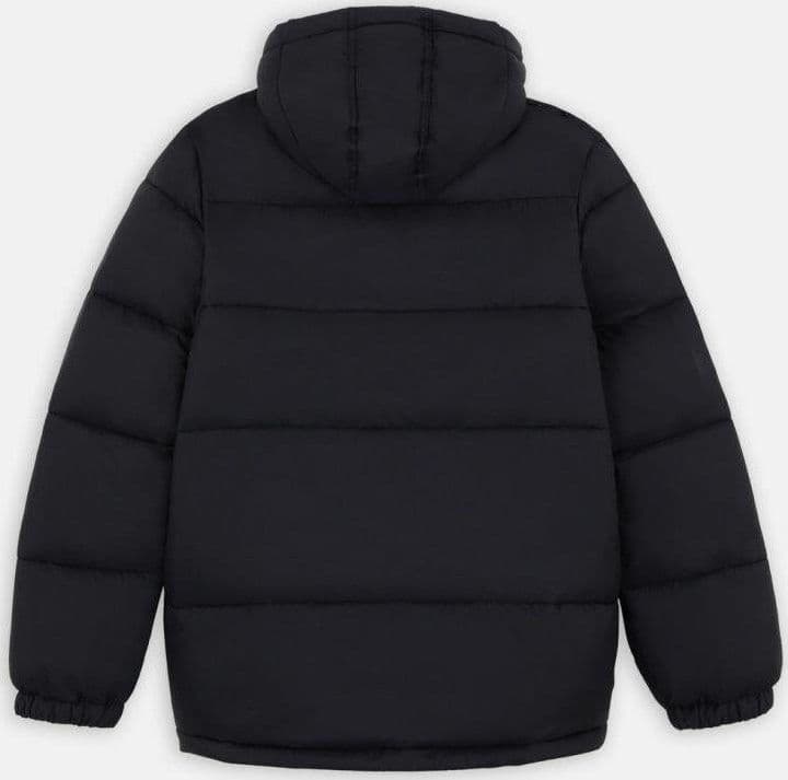 Piumino Dickies Waldenburg Hood black