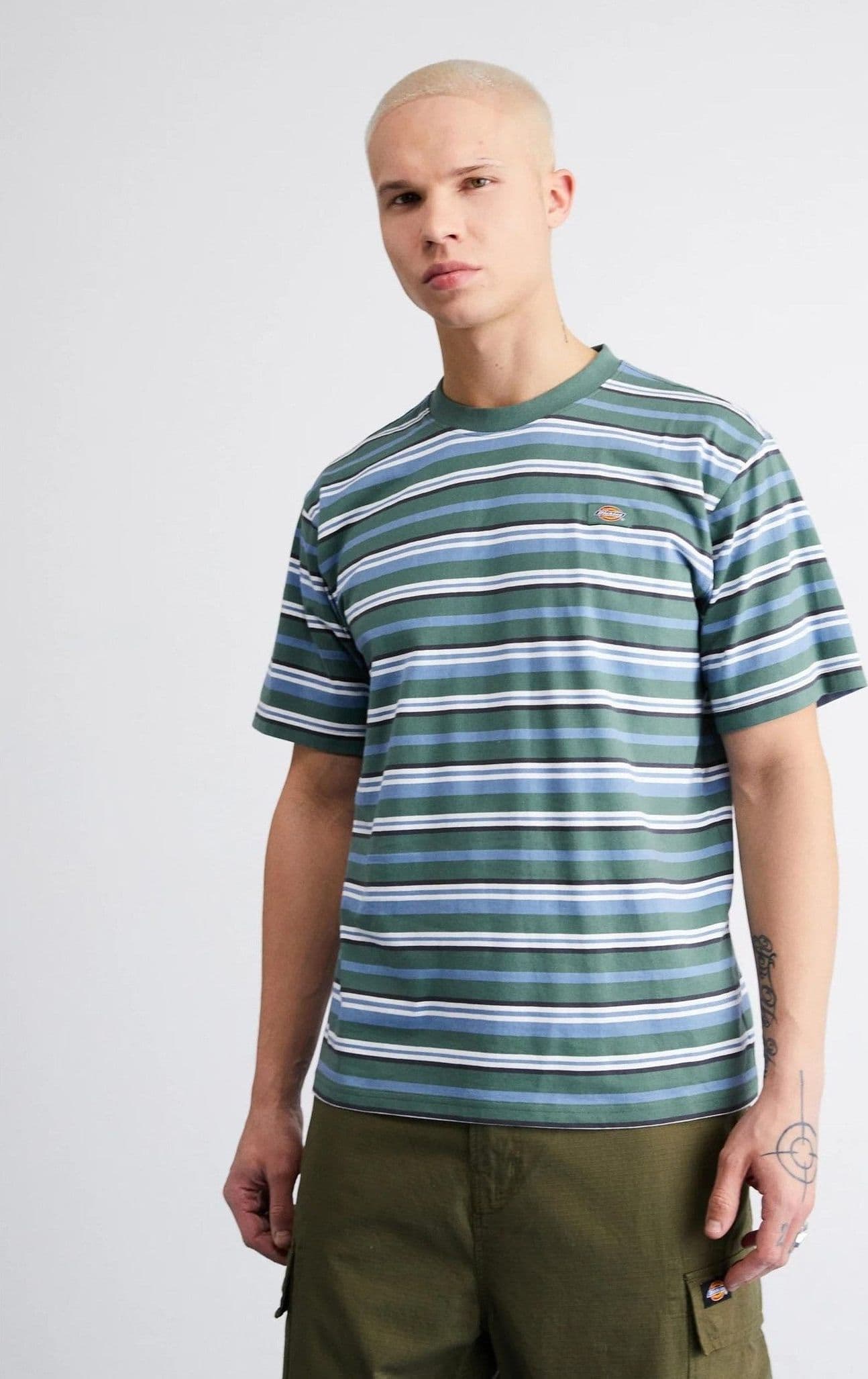 Maglietta T-shirt Dickies Glade Spring blue stripe