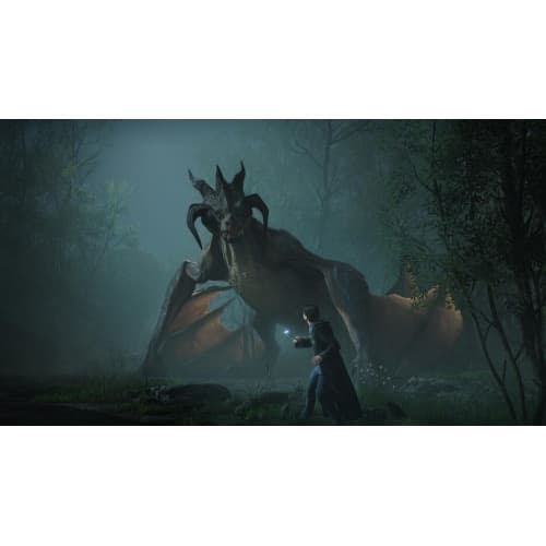 Hogwarts Legacy Switch UK - 3