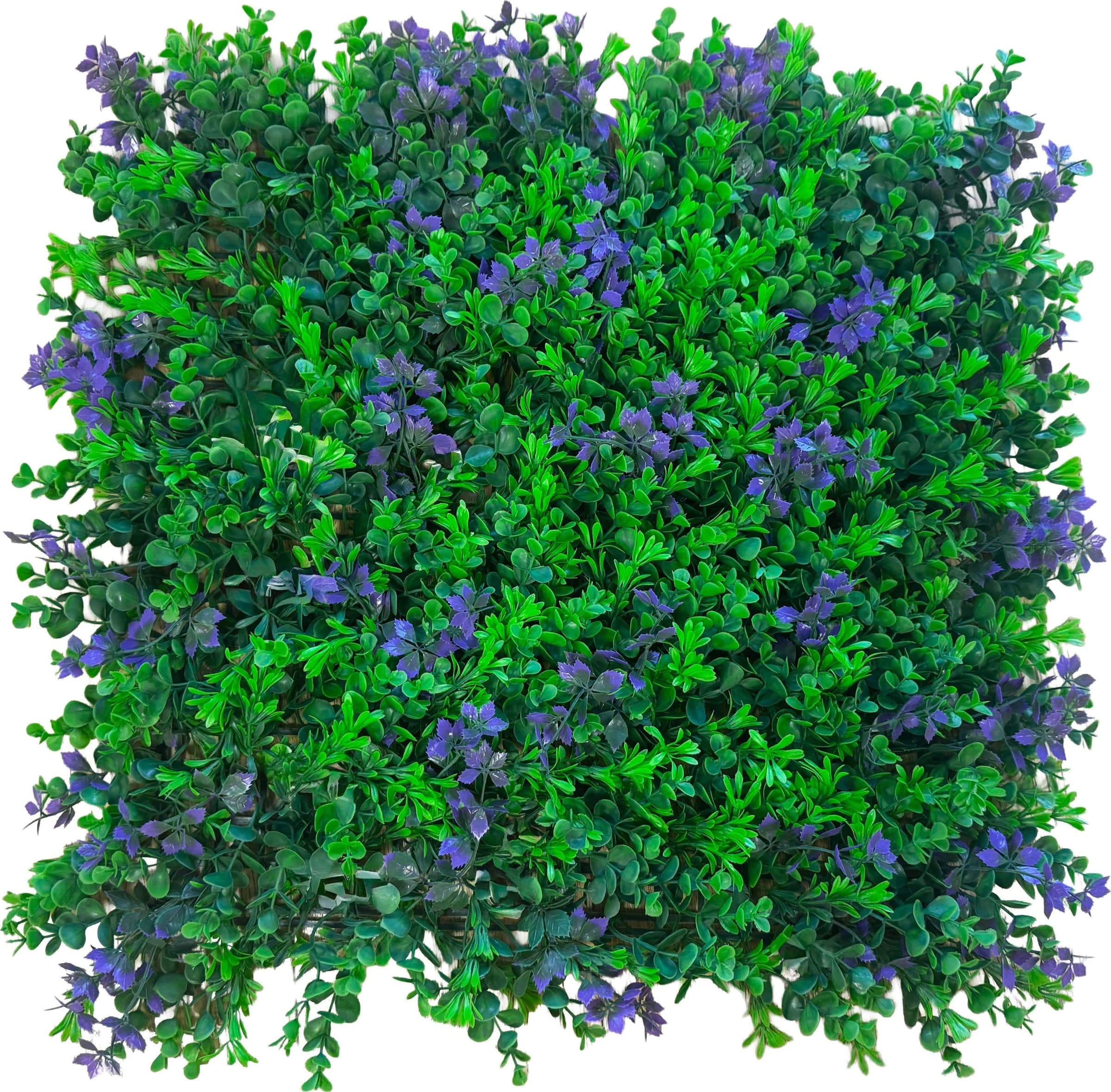 Pannelli Verde Verticale 50×50 cm Ultra-realistici e folti, per interno/esterno BOSSO E FOGLIE VIOLA - Eternal Parquet