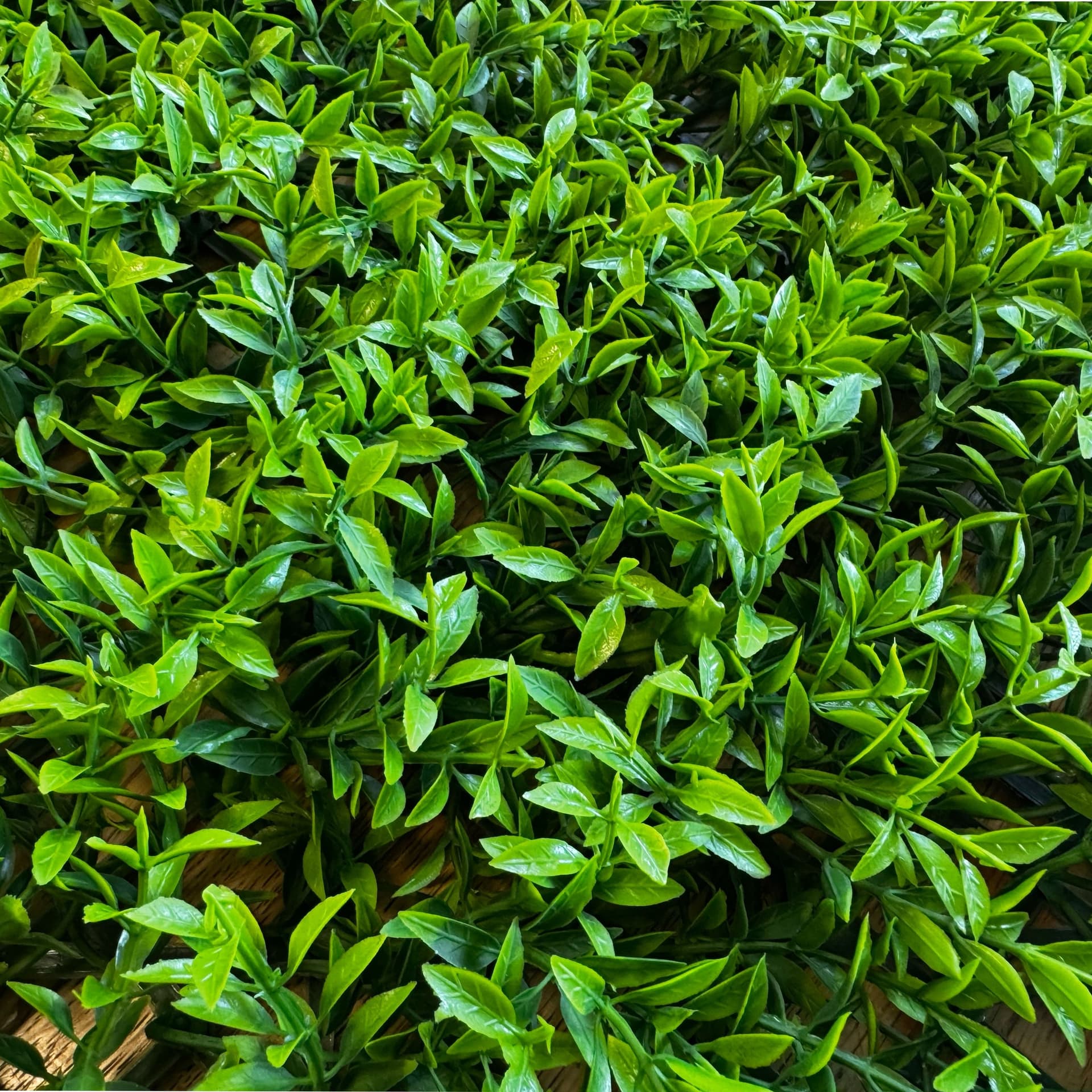 Pannelli Verde Verticale 50×50 cm Ultra-realistici e folti, per interno/esterno BOXUS - Eternal Parquet - Eternal Parquet