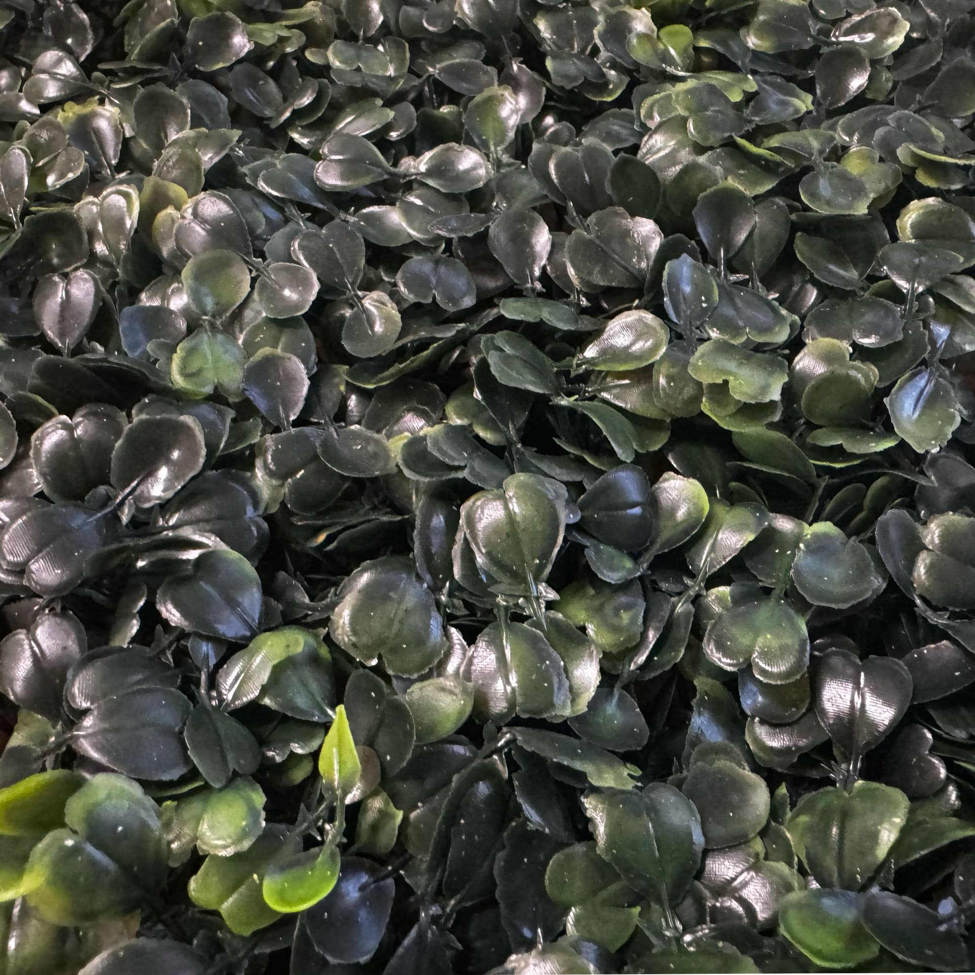 Pannelli Verde Verticale 50×50 cm Ultra-realistici e folti, per interno/esterno BOSSO COMPATTO - Eternal Parquet - Eternal Parquet