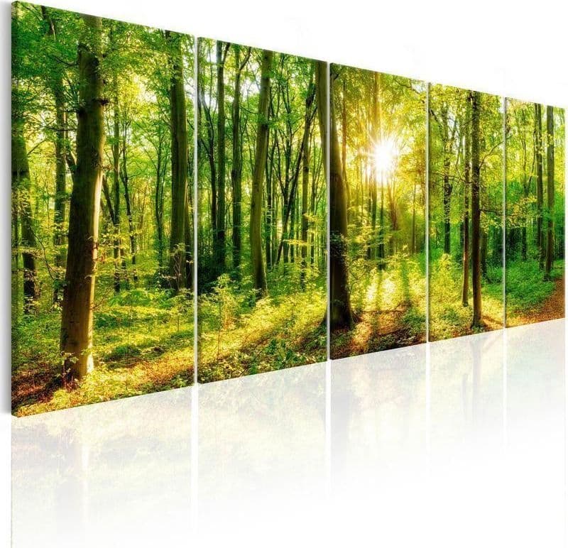 Quadro Magic Forest - 2