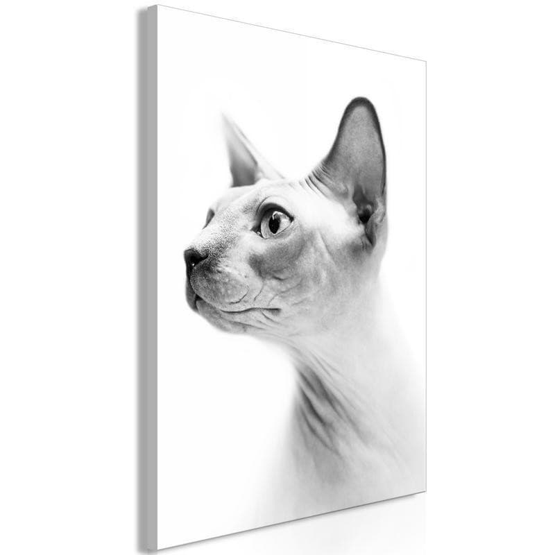 Quadro Hairless Cat (1 Part) Vertical - 6