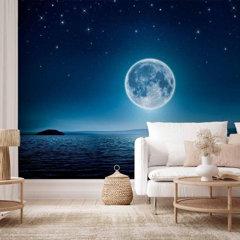 Fotomurale  Moonlit night - 13