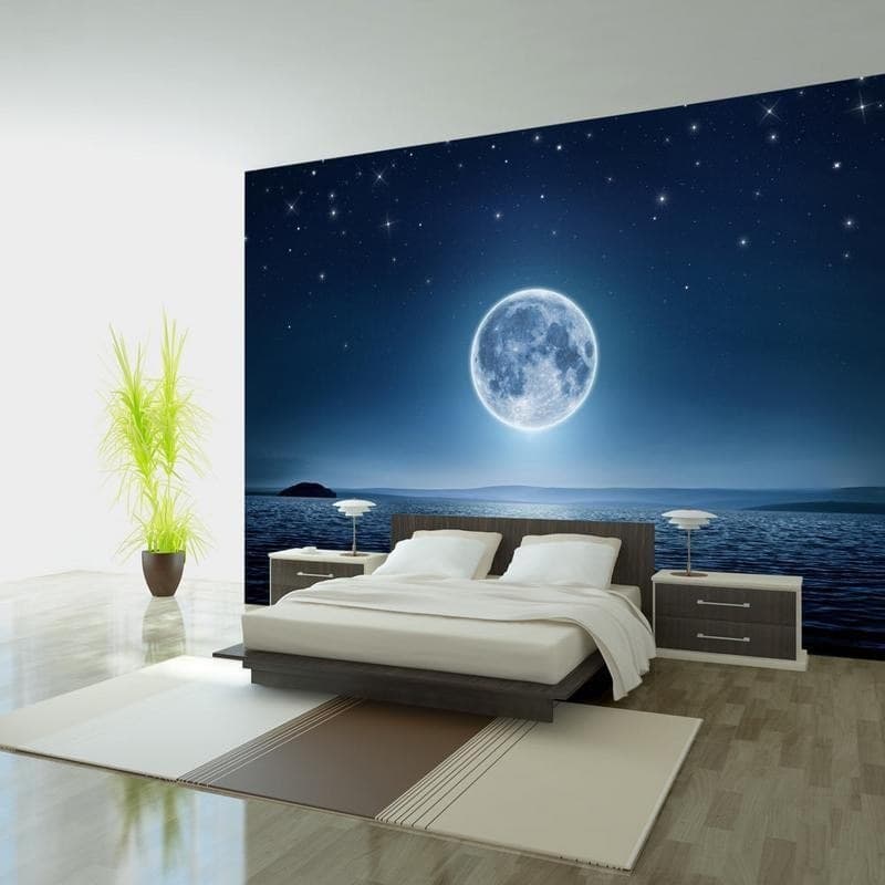Fotomurale  Moonlit night - 3