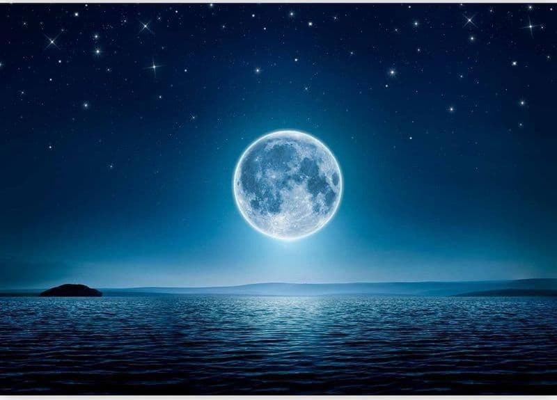 Fotomurale  Moonlit night - 5