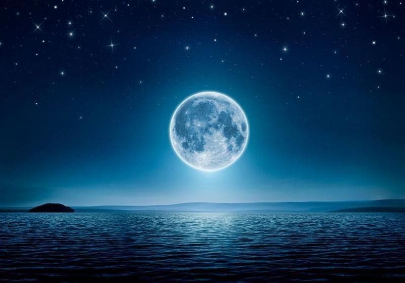 Fotomurale  Moonlit night - 6