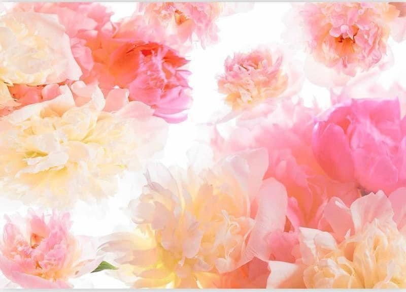 Fotomurale  Pastel peonies - 5