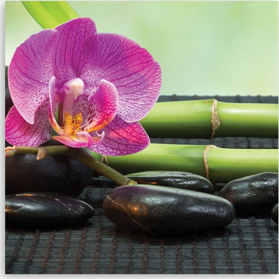 Quadro su tela, Orchidea su pietre nere - 3