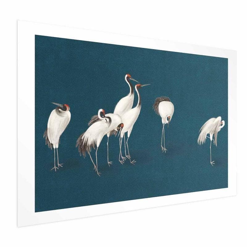 Poster - Evening at the Pond - group of cranes drawn in dry pastel on a dark turquoise background - 6