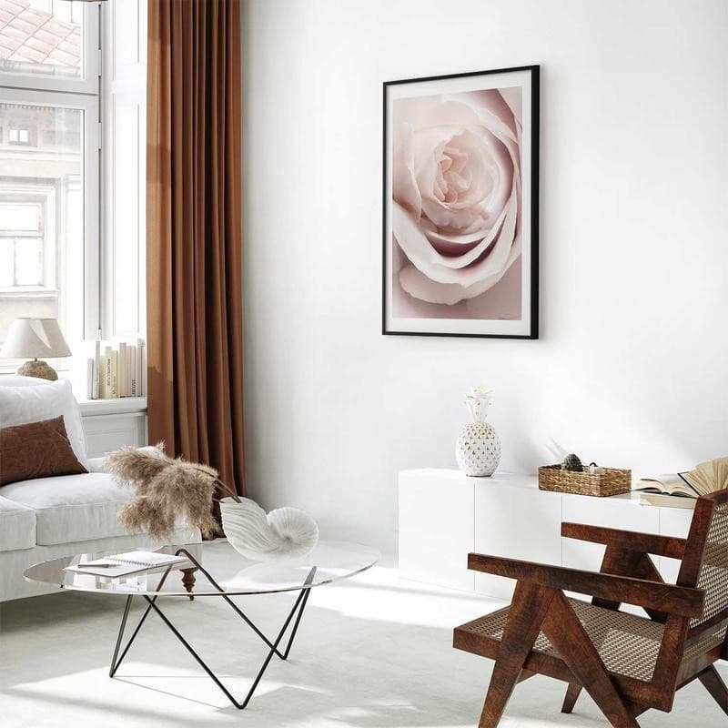 Poster - Porcelain Rose - 11