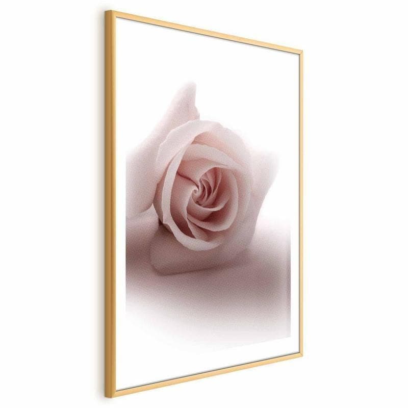Poster - Rose Shadow - 15