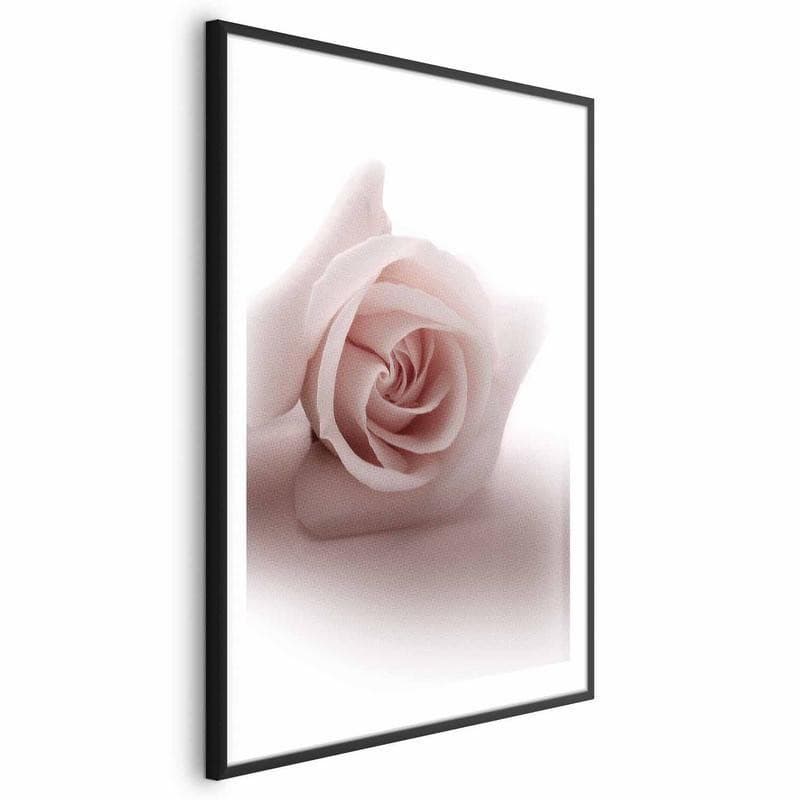 Poster - Rose Shadow - 16