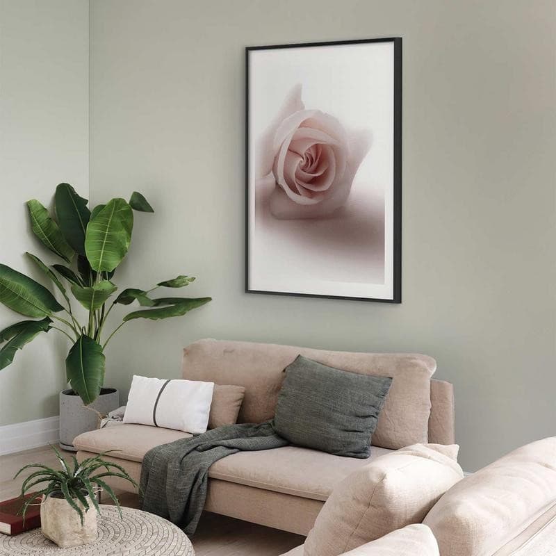 Poster - Rose Shadow - 11