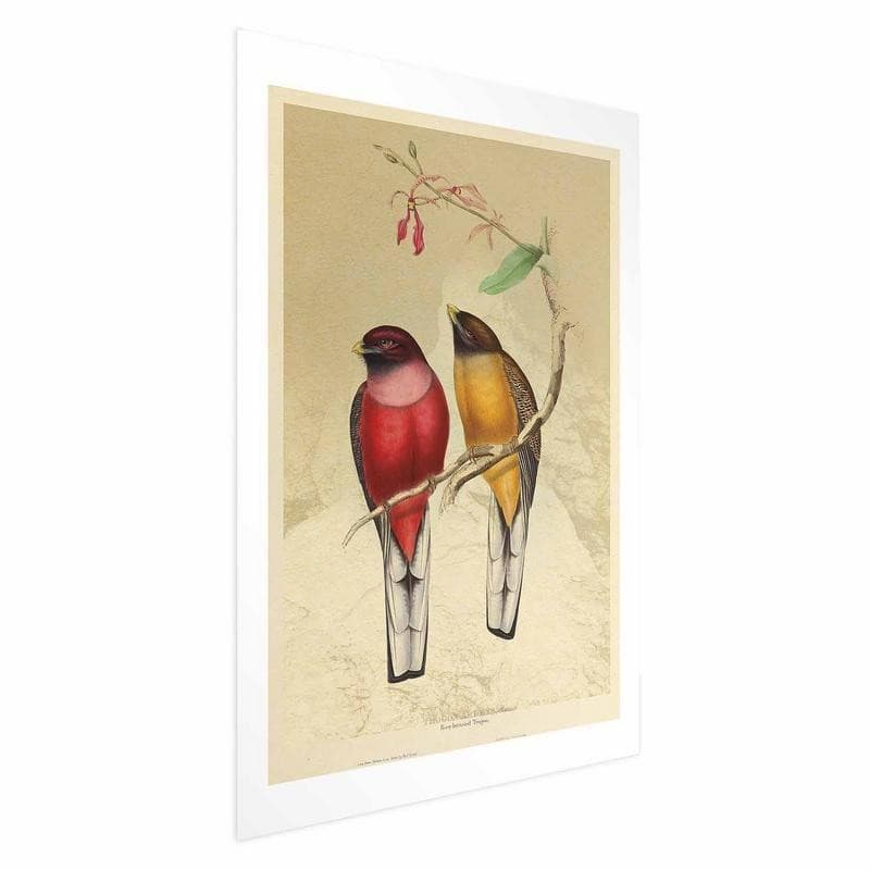 Poster - Birds on a Branch - 16