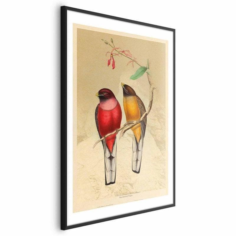 Poster - Birds on a Branch - 20