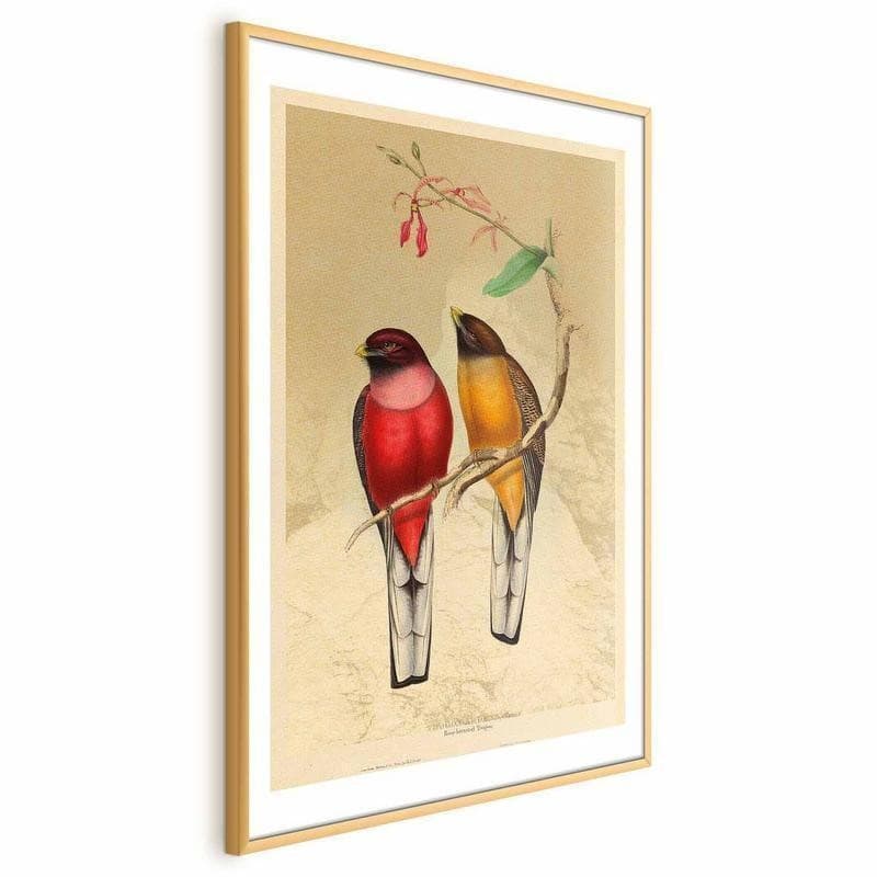 Poster - Birds on a Branch - 19